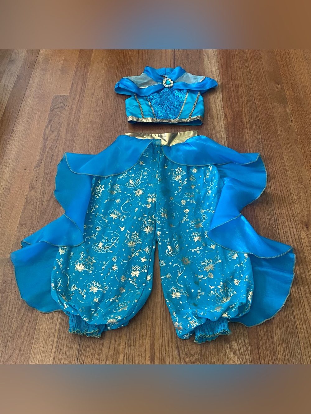 Disney Parks Princess Jasmine Gown Costume with Gold Trim